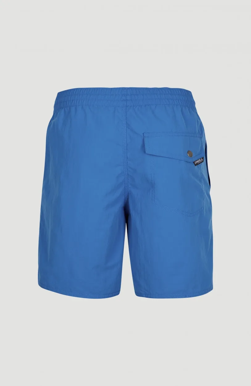 Vert 16'' Swim Shorts | Victoria Blue -A