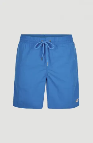 Vert 16'' Swim Shorts | Victoria Blue -A