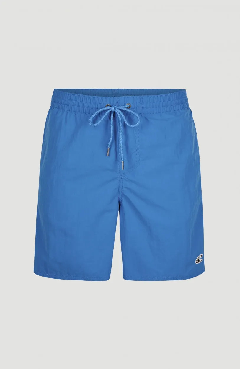 Vert 16'' Swim Shorts | Victoria Blue -A